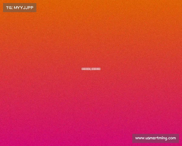 巴西赛事回顾,巴西比赛记录